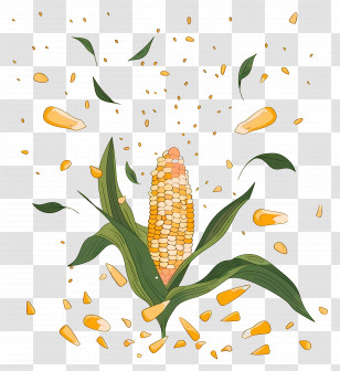 Sweet Corn - Corn With Exploding Kernels Transparent PNG