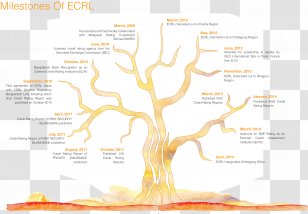 Water Tree Diagram Brand Transparent PNG