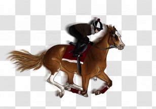 Hunt Seat Stallion Rein Mustang Horse Harnesses Transparent PNG