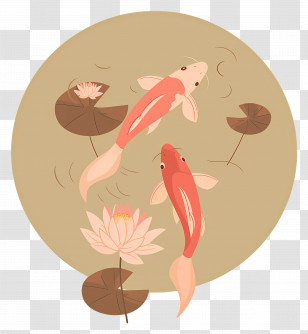 Koi Fish - Koi Fish In Pond Transparent PNG