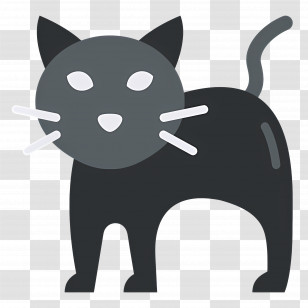 Halloween Cat - Black Cat With Whiskers Transparent PNG