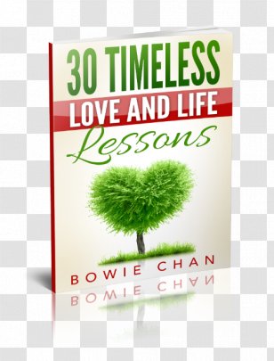 Lessons From My Twenties Dietless: How To Lose Weight Permanently By Mastering Your Mind And Getting The Science Right Book Font - B Symptoms Transparent PNG