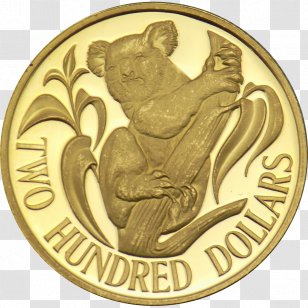 President William McKinley High School Rhode Island Of Design National Secondary - Class - Gold Coins Floating Material Transparent PNG