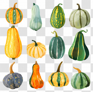 Squash - Colorful Gourd Illustrations For Autumn Themes Transparent PNG