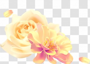 Garden Roses Drawing Watercolor Painting - Monochrome Transparent PNG