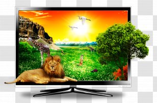Television Set Computer Monitors Display Device Liquid-crystal - Grass - Tv Transparent PNG