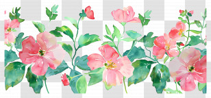 Tropical Flower Background - Beautiful Pink Watercolor Flowers And Leaves Transparent PNG