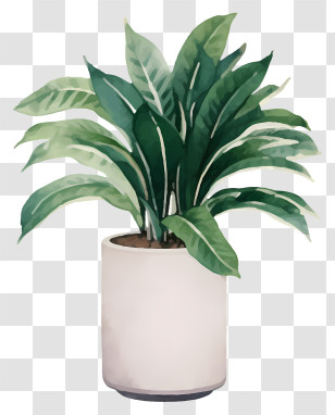 White Ceramic Vase - Potted Green Plant Illustration For Home Decor Transparent PNG