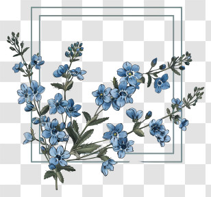 Spring Flowers Frame - Blue Wildflowers Botanical Illustration Transparent PNG