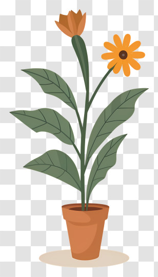 Plant Pot - Flower Pot With Yellow And Orange Blooms Transparent PNG