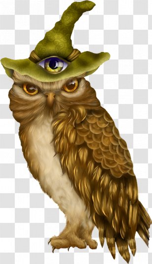 Tawny Owl Bird Barn Clip Art - Fauna - Terrorist Cat Avatar Transparent PNG