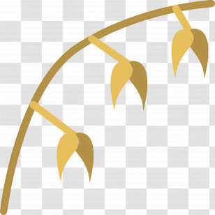 Oats - Yellow Rice Plant Illustration Transparent PNG