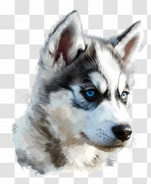 Husky Puppy - Husky Dog Illustration With Blue Eyes Transparent PNG
