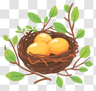 Bird Nest - Bird Nest With Eggs Illustration Transparent PNG
