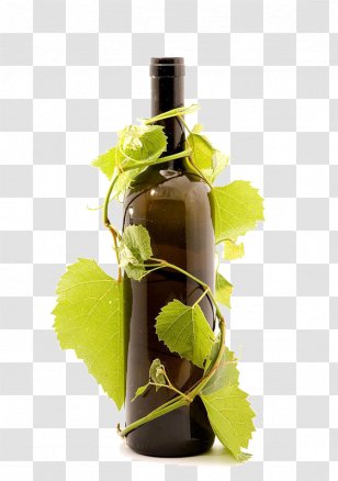 Red Wine Common Grape Vine Bottle Glass Transparent PNG