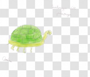 Turtle Green Plastic Transparent PNG