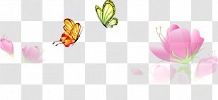 Butterfly Flower Euclidean Vector - Text - Spring Transparent PNG