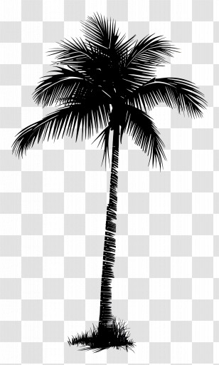 Palm Tree Silhouette - Silhouette Of Palm Tree Design Transparent PNG