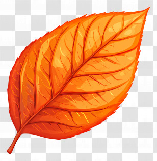 Leaf Icon - Yellow Autumn Leaf Transparent PNG