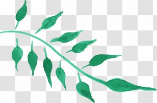 Leaf Watercolor Painting Clip Art - Twig - Leaves Transparent PNG