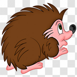Cartoon Hedgehog Nose Snout Erinaceidae Transparent PNG