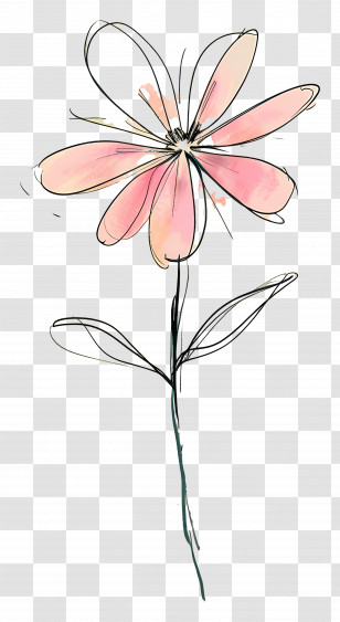 Pink Flower - Delicate Flower Drawing Transparent PNG