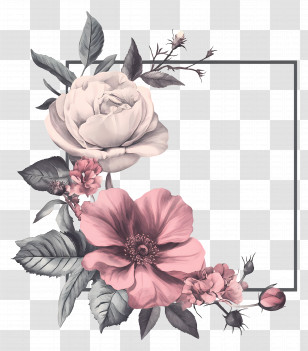 Flower Frame - Vintage Floral Frame Transparent PNG