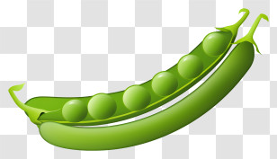 Green Peas - Illustration Of A Green Pea Pod With Peas Inside Transparent PNG