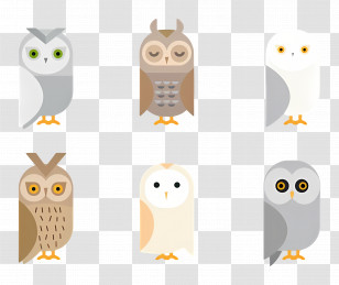 Cute Owl - Cute Cartoon Owls In Various Styles Transparent PNG