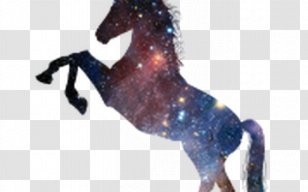 Horse Unicorn Silhouette Clip Art - Drawing - Transparent Background Pink Transparent PNG