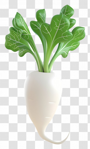 Daikon Radish - White Radish With Green Leaves Illustration Transparent PNG
