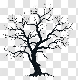 Tree Silhouette - Bare Twisted Tree Silhouette Design Transparent PNG