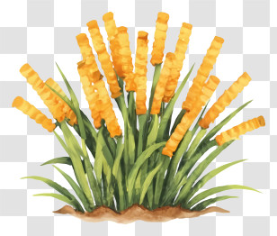 Cartoon - Yellow Flowers In Green Grass Transparent PNG