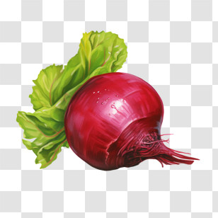 Beet Root - Red Beetroot With Fresh Green Leaves Transparent PNG