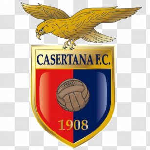 Cosenza Calcio Casertana F C U S Lecce Football Area Transparent Png