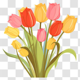 Multicolored Tulips - Bouquet Of Colorful Tulips Transparent PNG