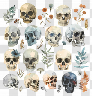 Skull - Artistic Skulls With Flowers Transparent PNG