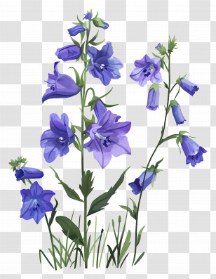 Larkspur - Elegant Bluebell Flower Stems Transparent PNG