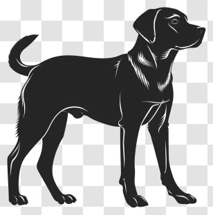 Dog Silhouette - Black Dog Silhouette Design Transparent PNG
