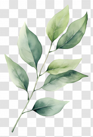 Leaf Painting - Delicate Green Leaves Branch Illustration Transparent PNG