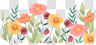 Pastel Flower - Beautiful Watercolor Flowers Illustration Transparent PNG
