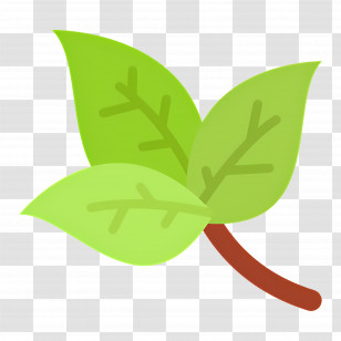 Basil - Green Leaves Branch Illustration Transparent PNG