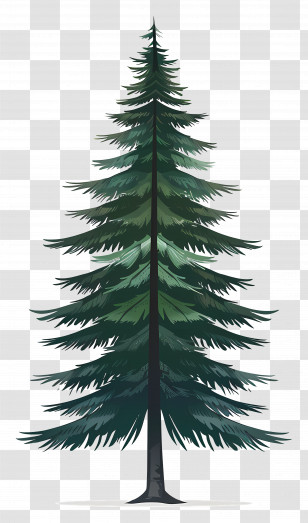 Pine Tree Silhouette - Illustration Of A Pine Tree Transparent PNG