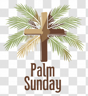 Palm Sunday - Palm Sunday Celebration Transparent PNG