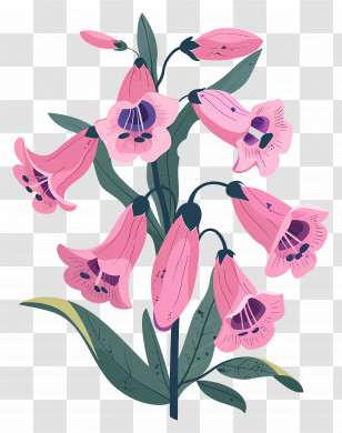 Bluebells - Pink Bell Flowers With Green Leaves Transparent PNG