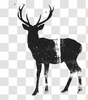 Deer Silhouette - Black Deer Silhouette Illustration Transparent PNG