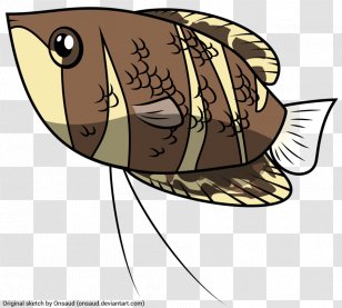 Chocolate Gourami Giant Honey Tropical Fish - Sphaerichthys - Wing Transparent PNG