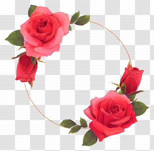 Rose Day - Elegant Red Rose Circular Frame Illustration Transparent PNG