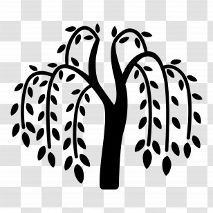 Willow Tree - Black Weeping Willow Tree Silhouette Transparent PNG