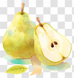 World Pear Day - Watercolor Illustration Of Pear Fruits Transparent PNG